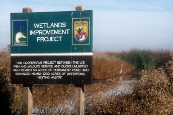 Wetlands Improvement Project
