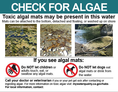 Check for Algae sign