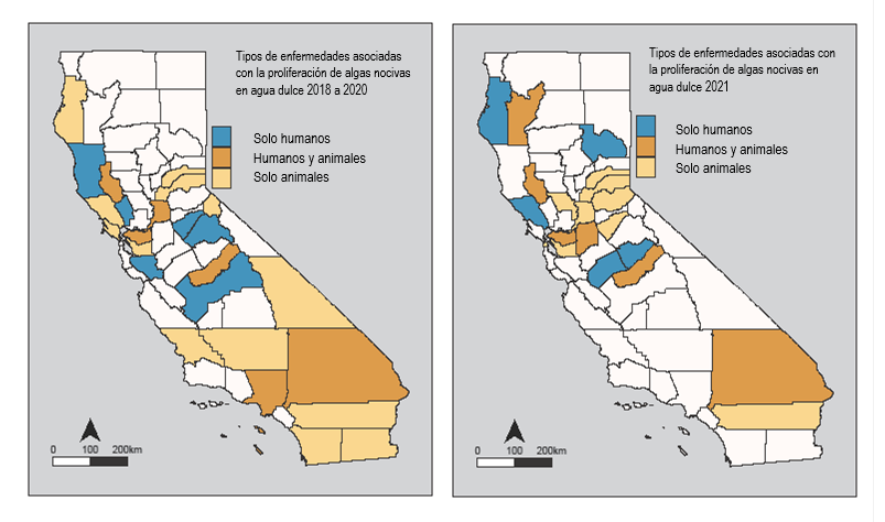 Los mapas a continuación muestran los condados en los que se han producido enfermedades asociadas con la proliferación de algas nocivas en agua dulce en California (informadas a OHHABS) para los años 2018-2020 y para 2021.