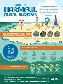harmful algal blooms awareness