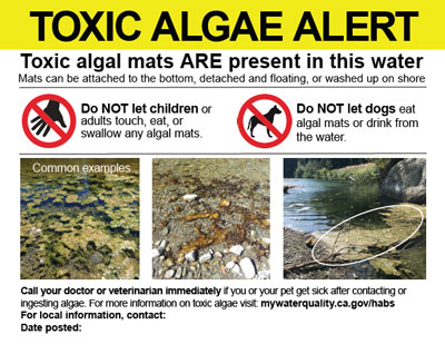 Toxic Algae Alert sign